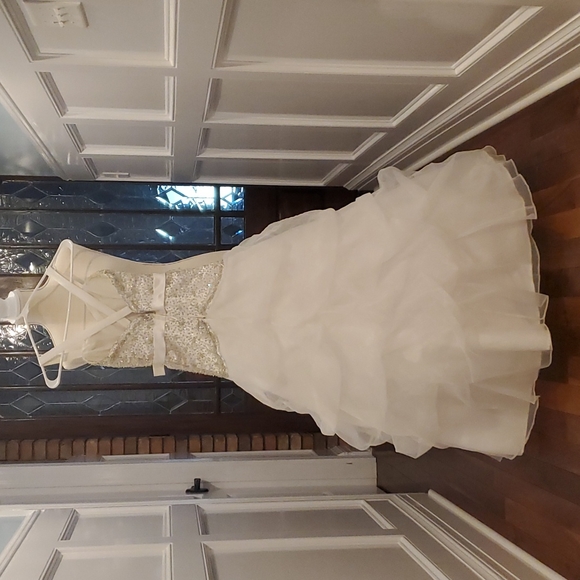 Pageant Dress - Picture 2 of 6